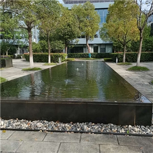 公司环境